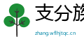 支分族解网